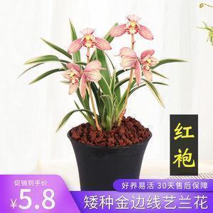 遗臭千秋
