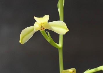 2021搬新家最火祝福语