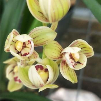 想逃避现在的一切说说(精选41句)