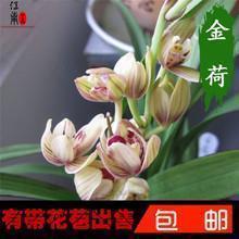 2020朋友生日祝福语简短