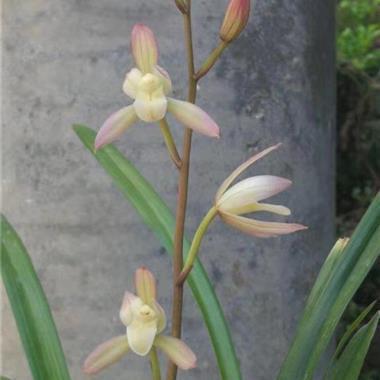 2021教师节简短优美祝福语录说说文案(精选93条)