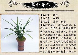 厌世消极绝望句子 关于厌世的句子(精选49句)