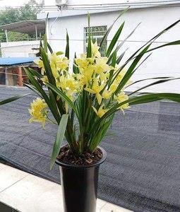 一句话经典搞笑说说41句