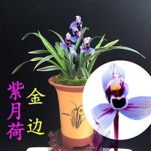 重垣迭锁