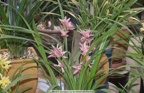 关于奋斗的正能量句子73句