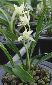 形容开心的生活句子说说心情 今天心情美美的句子