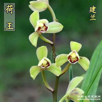 2021教师节给班主任的祝福语(精选82条)