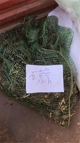 表示心累的句子朋友圈