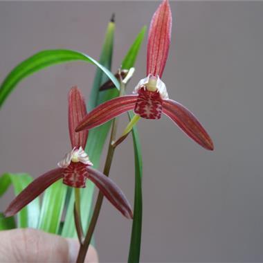 对爸爸失望至极的句子