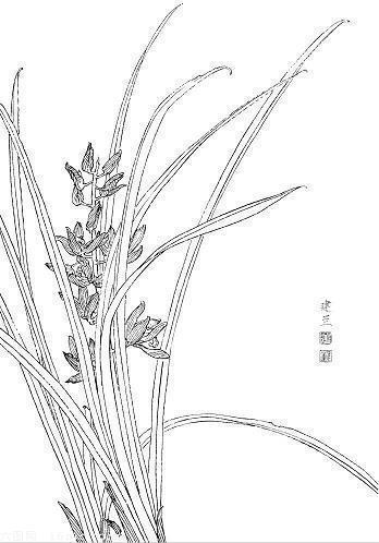 薠