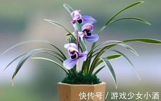宝贝的生日朋友圈说说(精选55句)