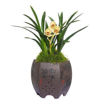 夏天的简短文案句子 夏天最短好句朋友圈收录24句