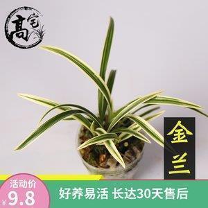 伤感qq说说带图片