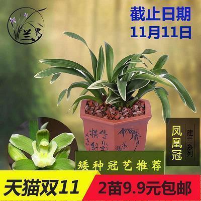 2021新学期祝福语简短精辟(精选64条)
