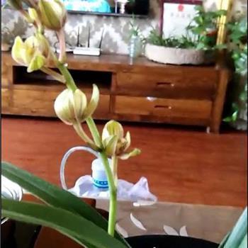 心情烦躁想发泄的句子 失落心情烦躁的句子99句
