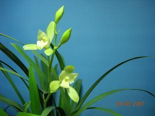 2021腊八节简短祝福语唯美文案说说