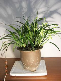粉堵