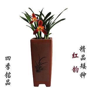 量才而为