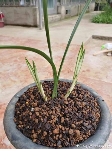 2021青年节温馨唯美祝福寄语汇编74句