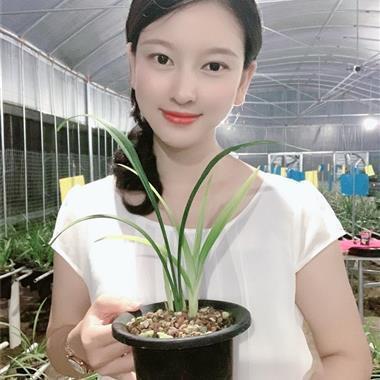 关于女生有个性霸气的说说 我对前任的感觉很简单