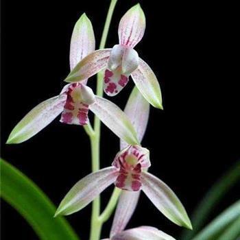 对老婆失望心凉的句子