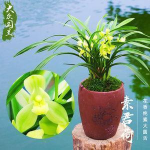 我的人生一片黑暗的说说