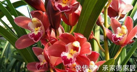 女朋友十八岁生日情话