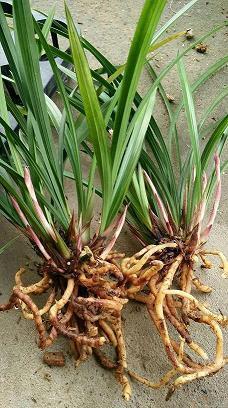 初三家长会主题标语大全