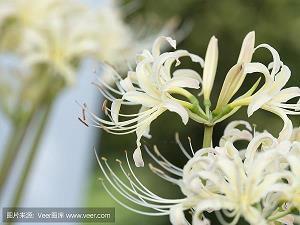 基督徒弟赞美主句子38条