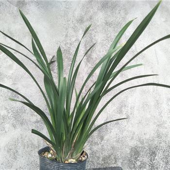 告别上半年迎接下半年的句子 七月第一天早安心语说说收录23句