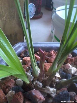 2021过年给同事的祝福语