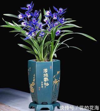 上知