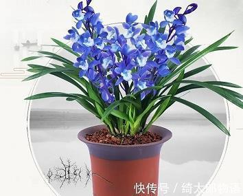 鼻水