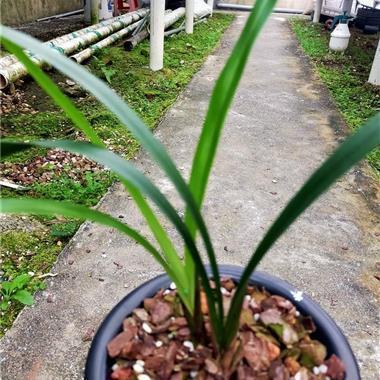 朋友圈暗恋一个人的说说49句