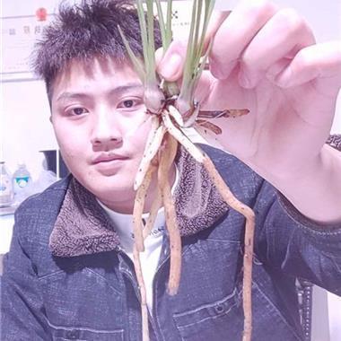 最经典的说说24句