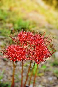 适情任欲