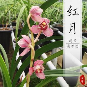 把自己累到病倒的说说(精选38句)