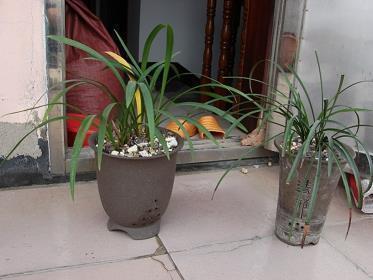 2021五一劳动节唯美祝福语汇总71句