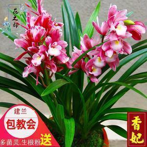 当自己无助的伤感说说短语 一个人特别无助的说说28句