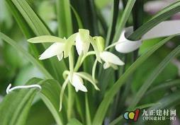 2021七夕浪漫祝福文案精选76句