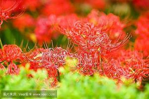 每天带娃累的心情句子13句