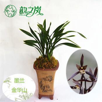 要任
