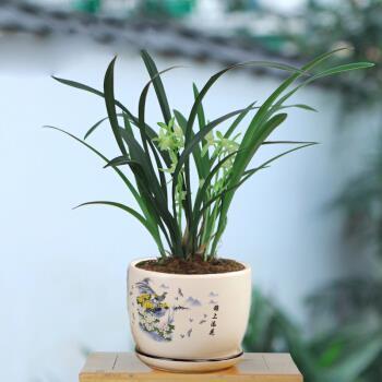 久经