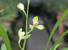 2021六一儿童节祝福语简短唯美精选96句