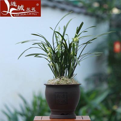谨重严毅