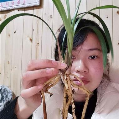 积壑