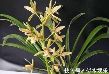 俗僧