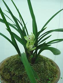 花费