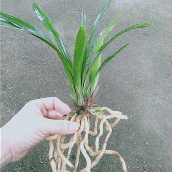 齐心一致