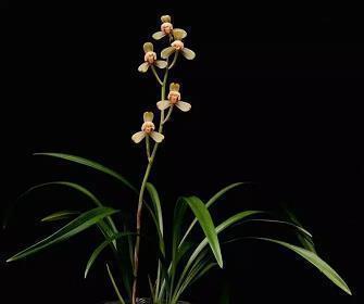 2021建党99周年说说祝福语朋友圈文案精选大全_建党节句子